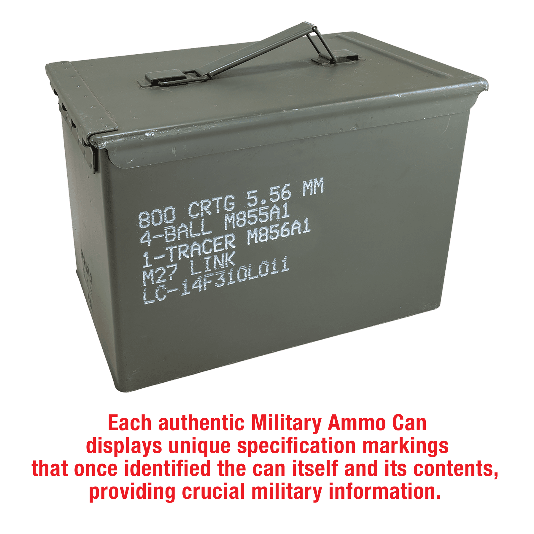 AMMF50 additional angle 4