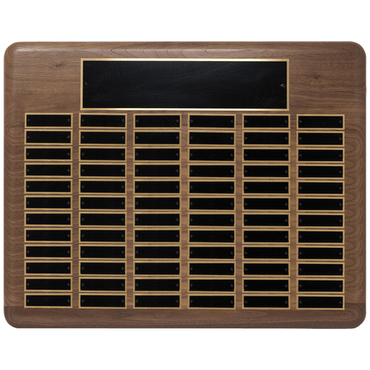 22" x 30"/Plates 7/8" x 2 3/4" American Plated Steel Plates