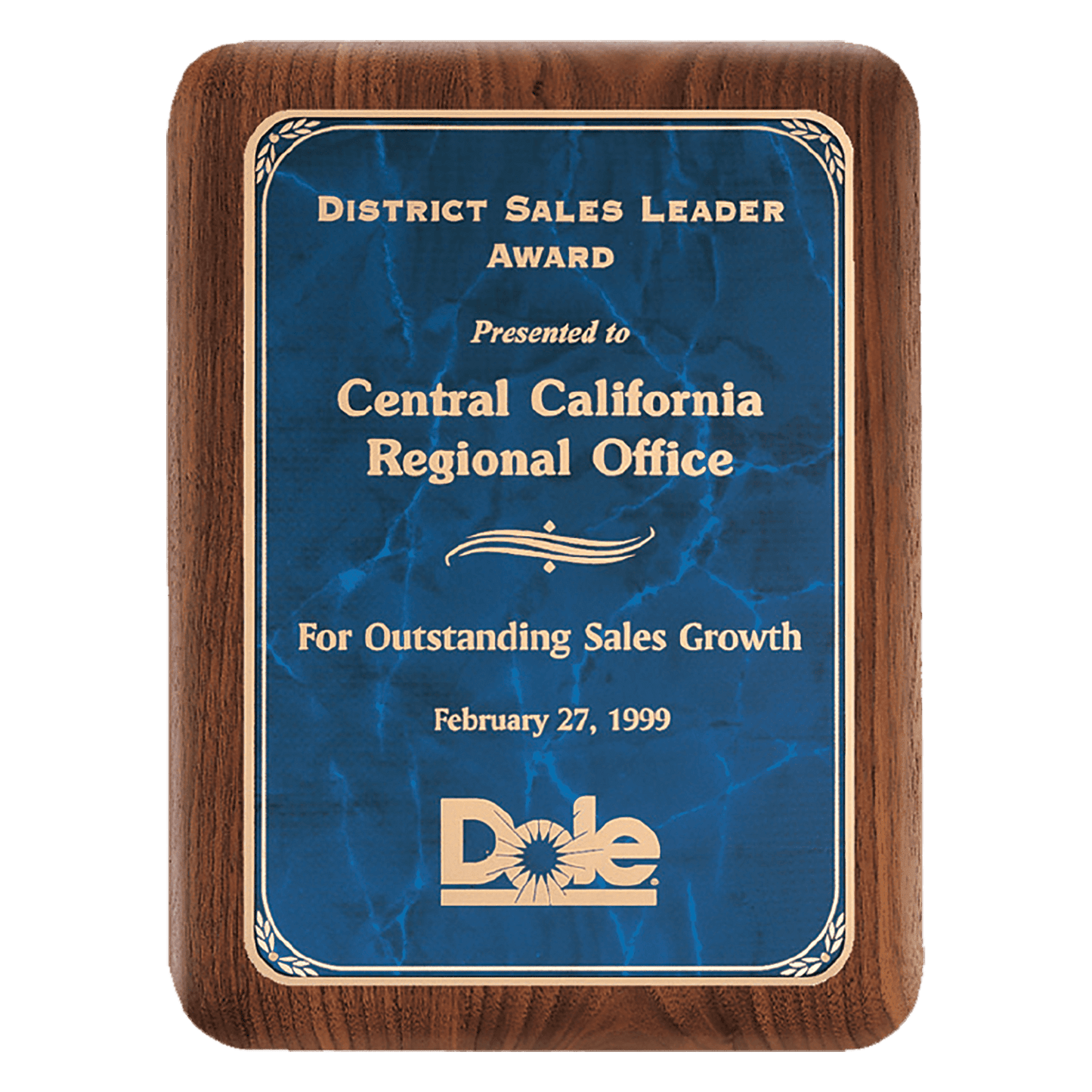9" x 12" American Border Sapphire Marble LaserFX Plate