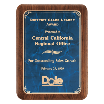 9" x 12" American Border Sapphire Marble LaserFX Plate