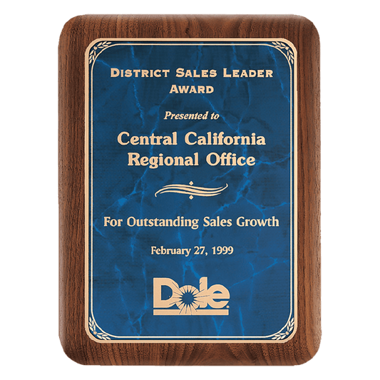9" x 12" American Border Sapphire Marble LaserFX Plate