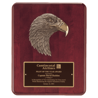 10 1/2" x 13" Plate
