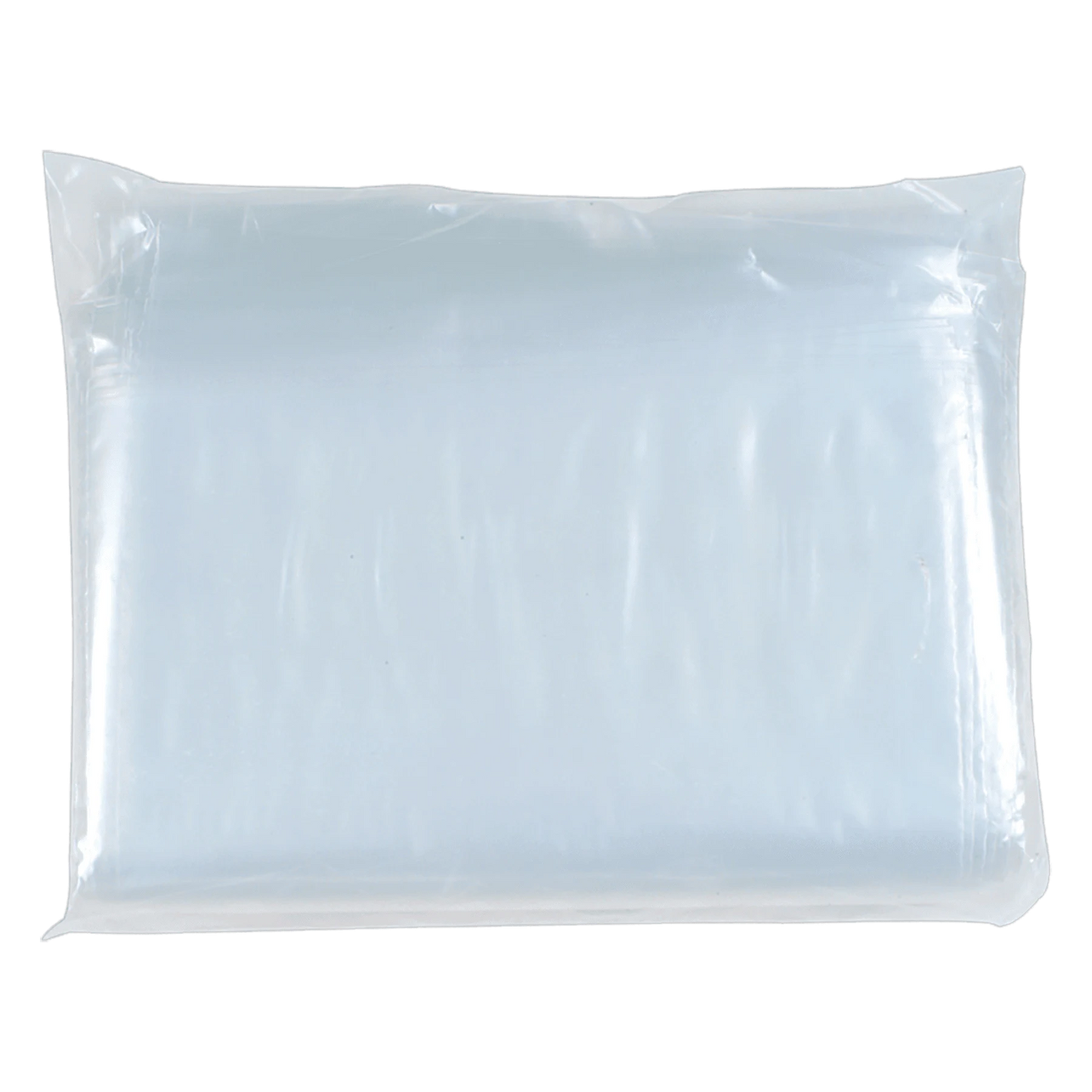 12" × 15" Poly Bag (plastic) — custom laser engraved — ECHIPMUNK