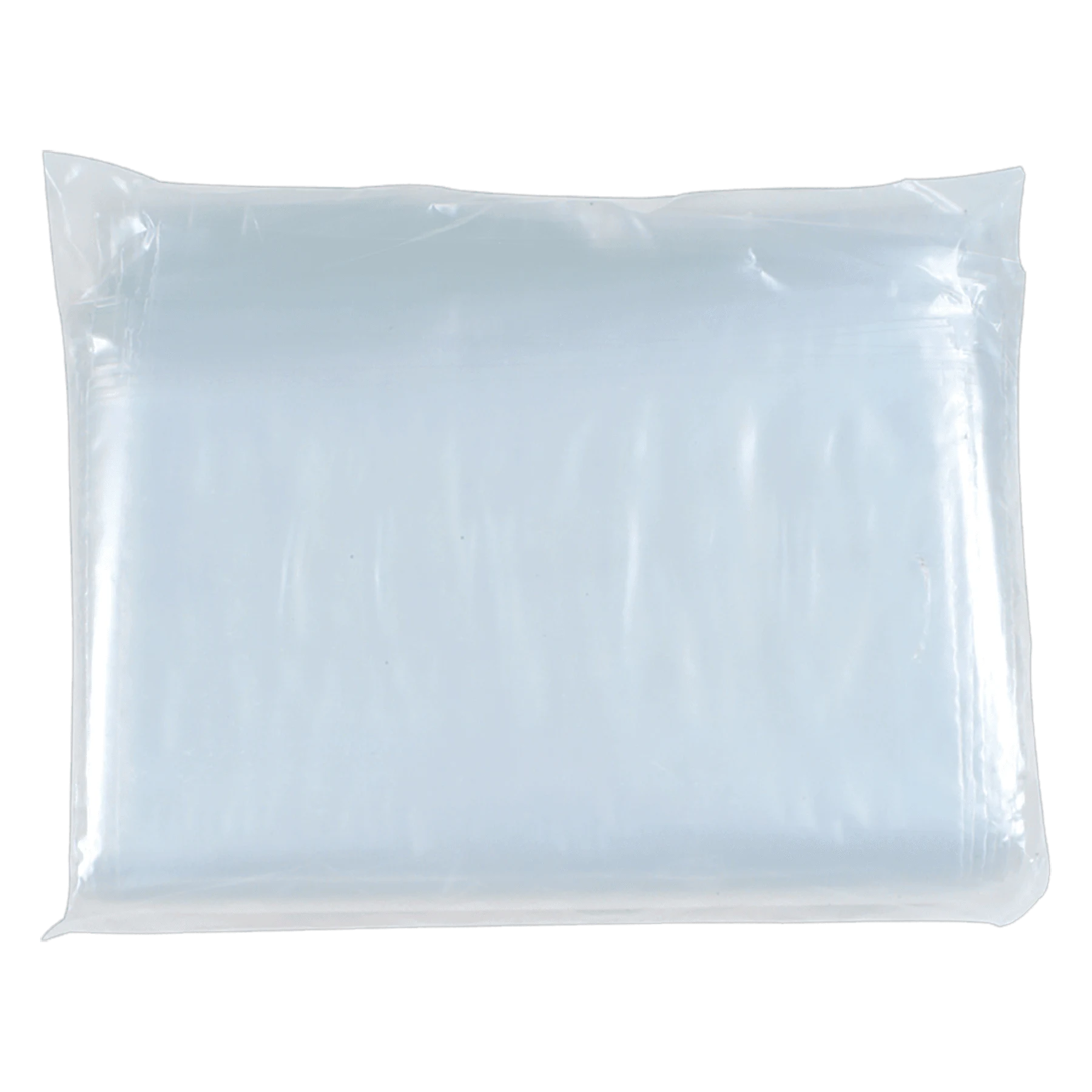 12" × 15" Poly Bag (plastic) — custom laser engraved — ECHIPMUNK