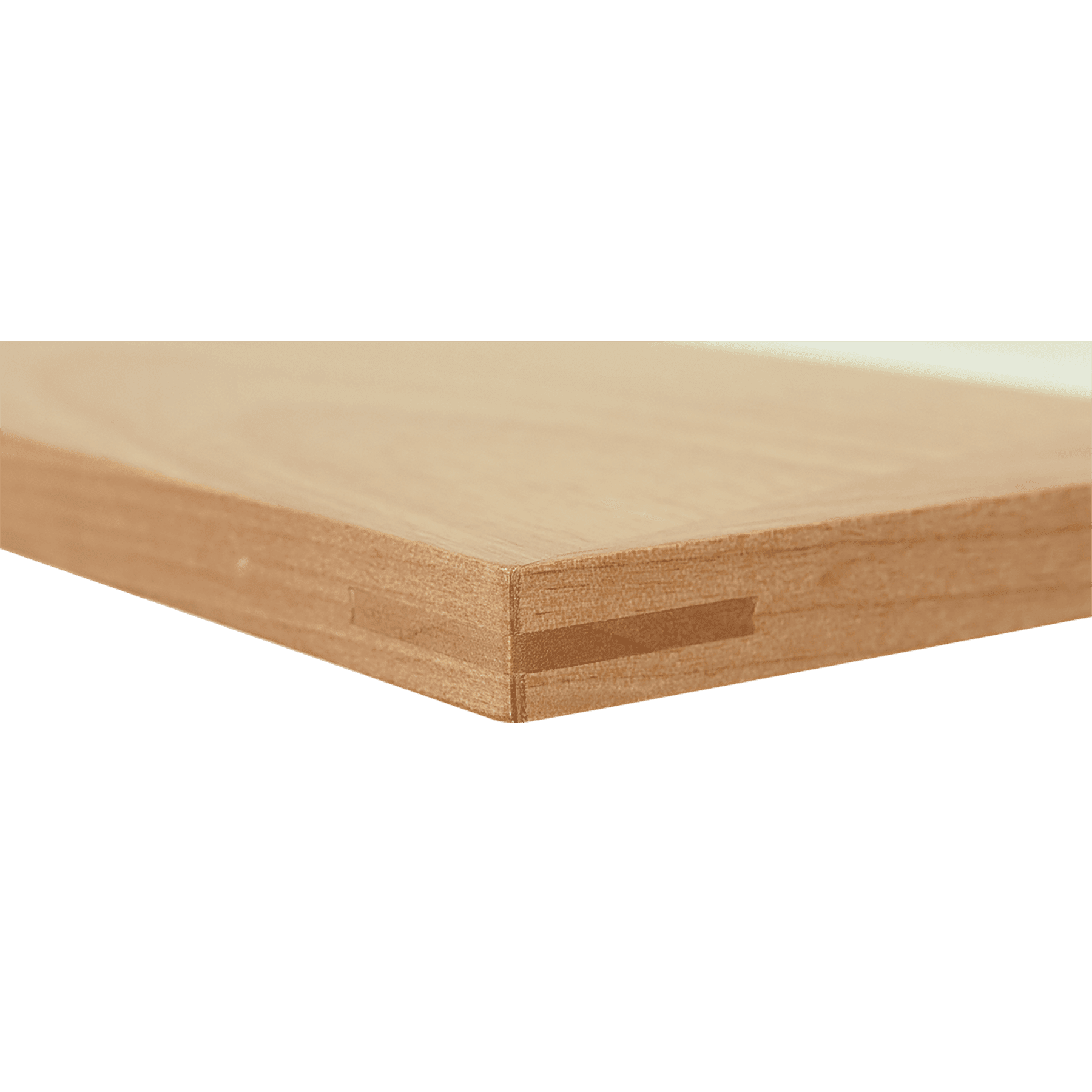 PTF557 additional angle 2