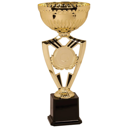 Insert Holder 15" Medal — Custom UV Print & Engraving | Gold, Silver & Bronze