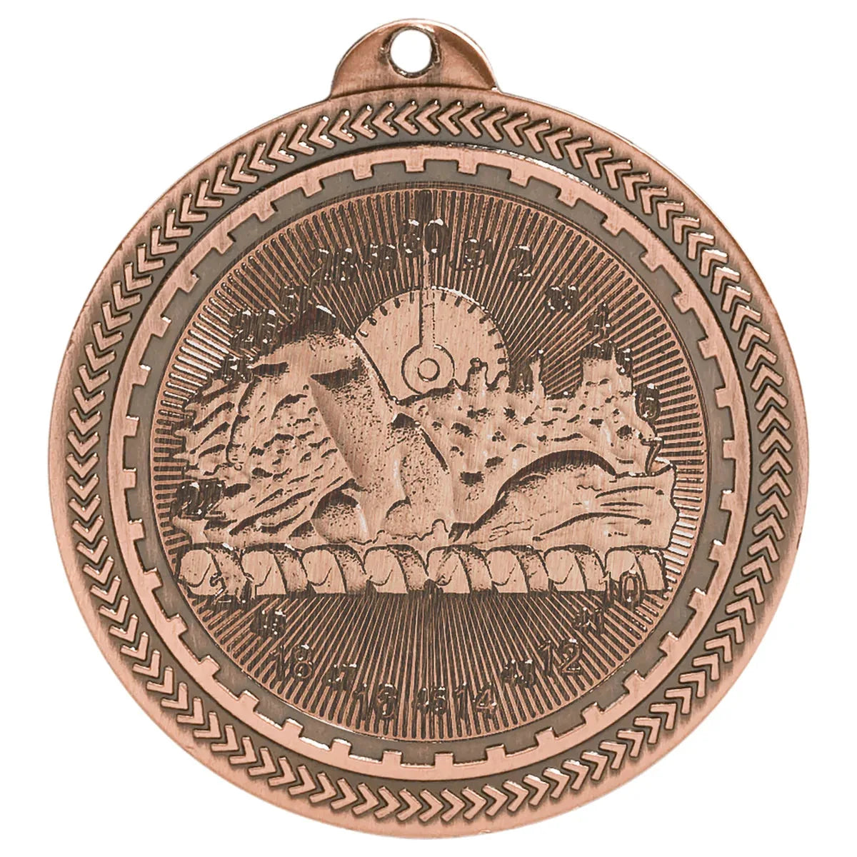 Antique Bronze 2" Swimming Laserable BriteLazer Medal
