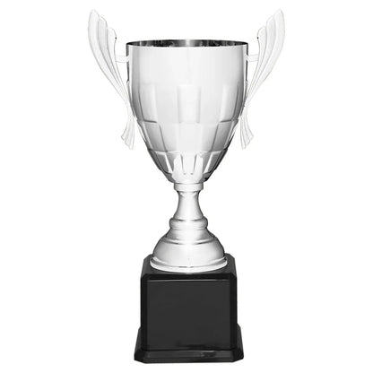 Silver Completed Metal Cup Trophy on Black Royal 22" Piano Finish Base
