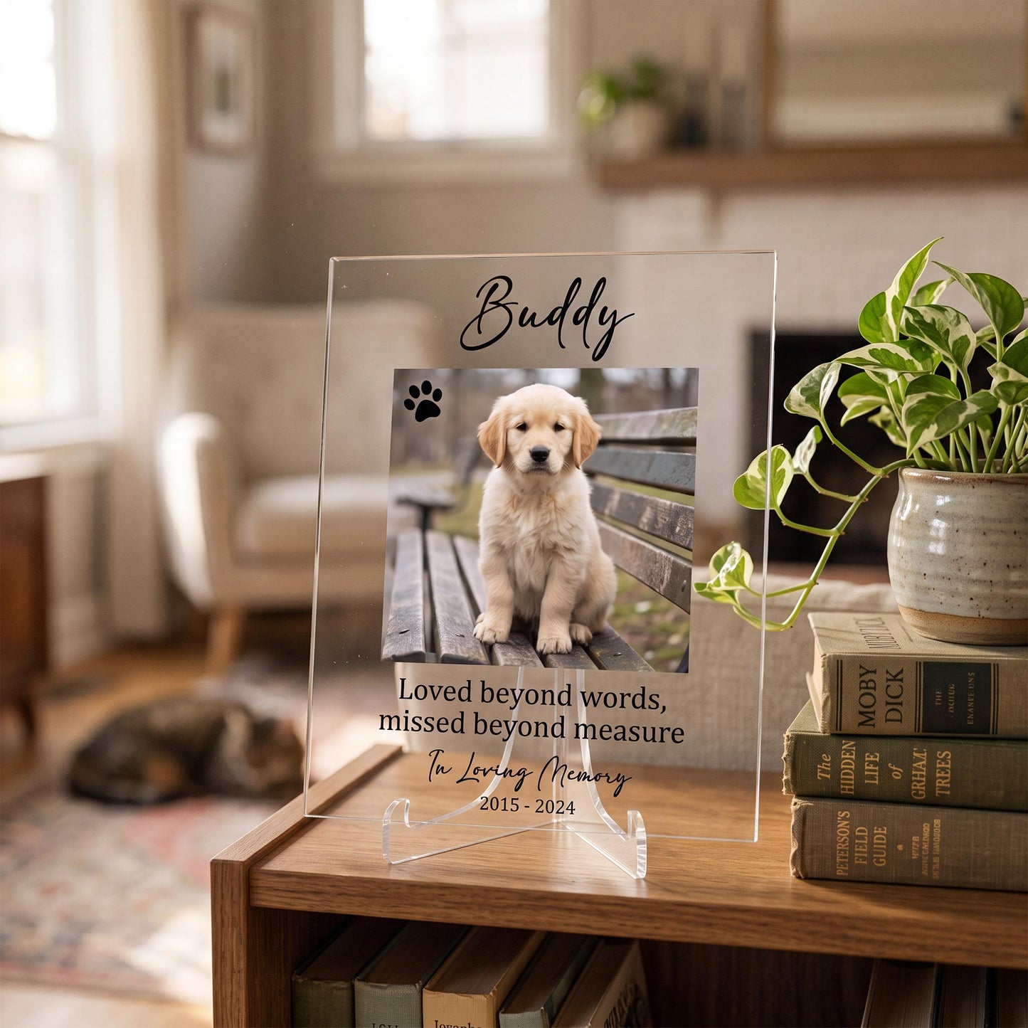 Pet memorial plaque displayed on a living room bookshelf next to a potted plant and books.